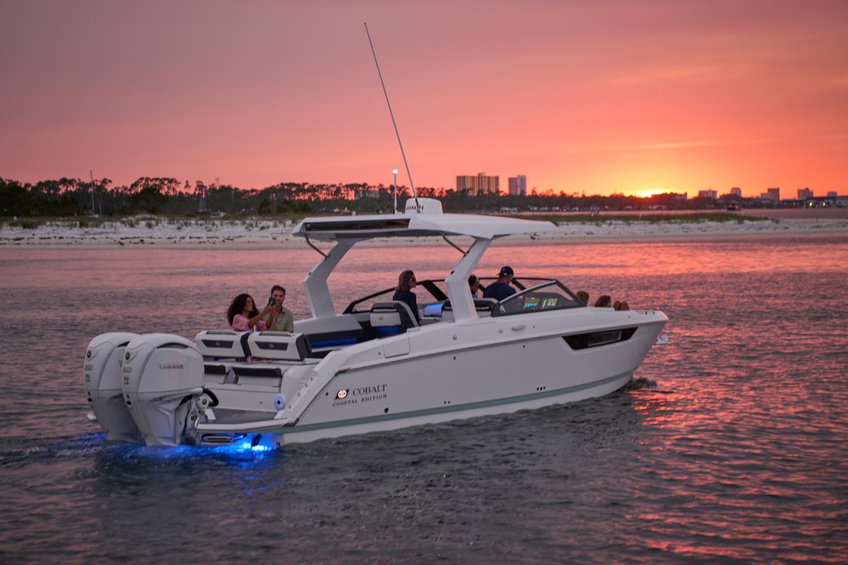 Cobaltboats R31 Outboard | Belgian Boat Service