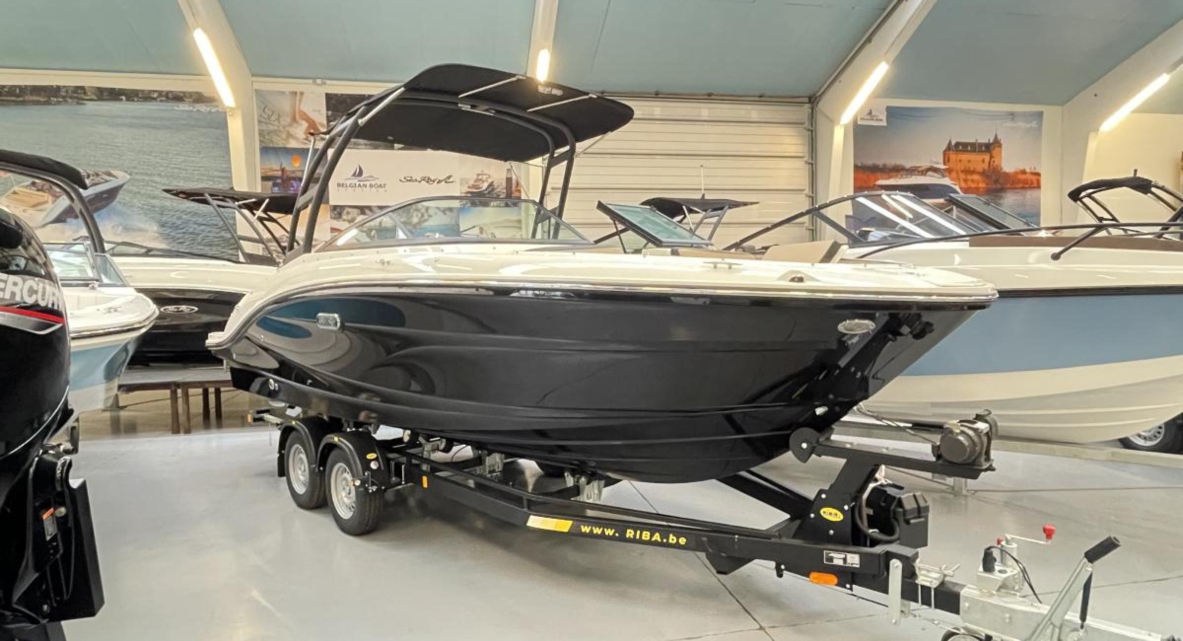 Searay 210 SPX 2024 Outboard Searayboats motorboot te koop 2dehands
