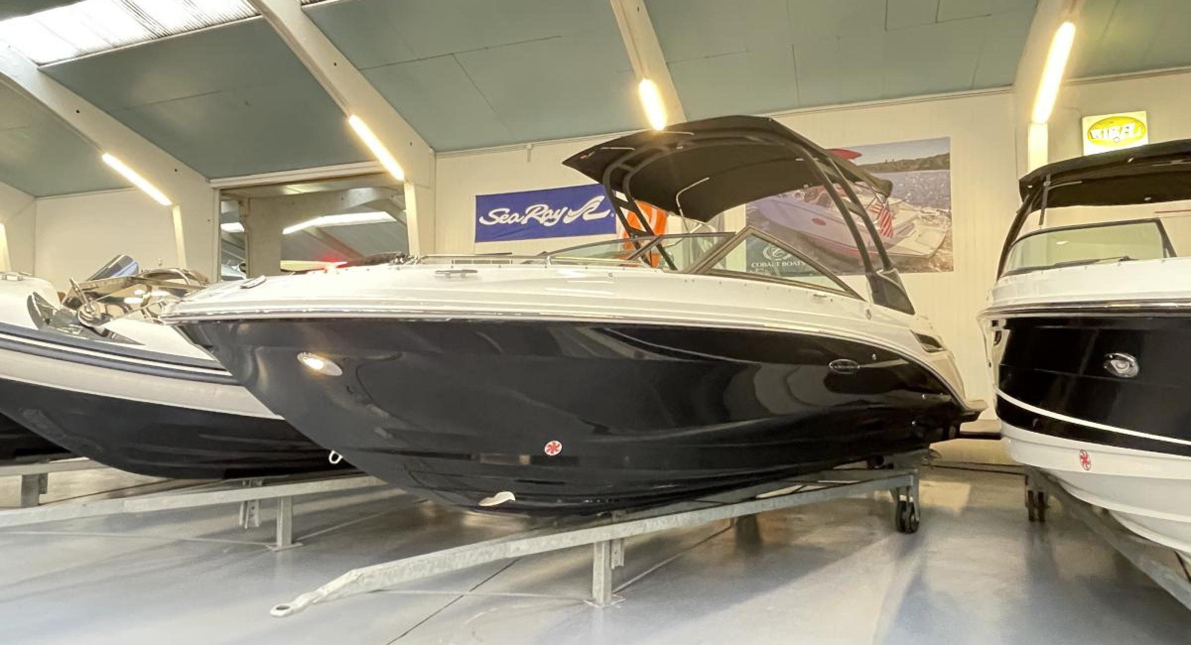 Searay 250 SDO Searayboats 