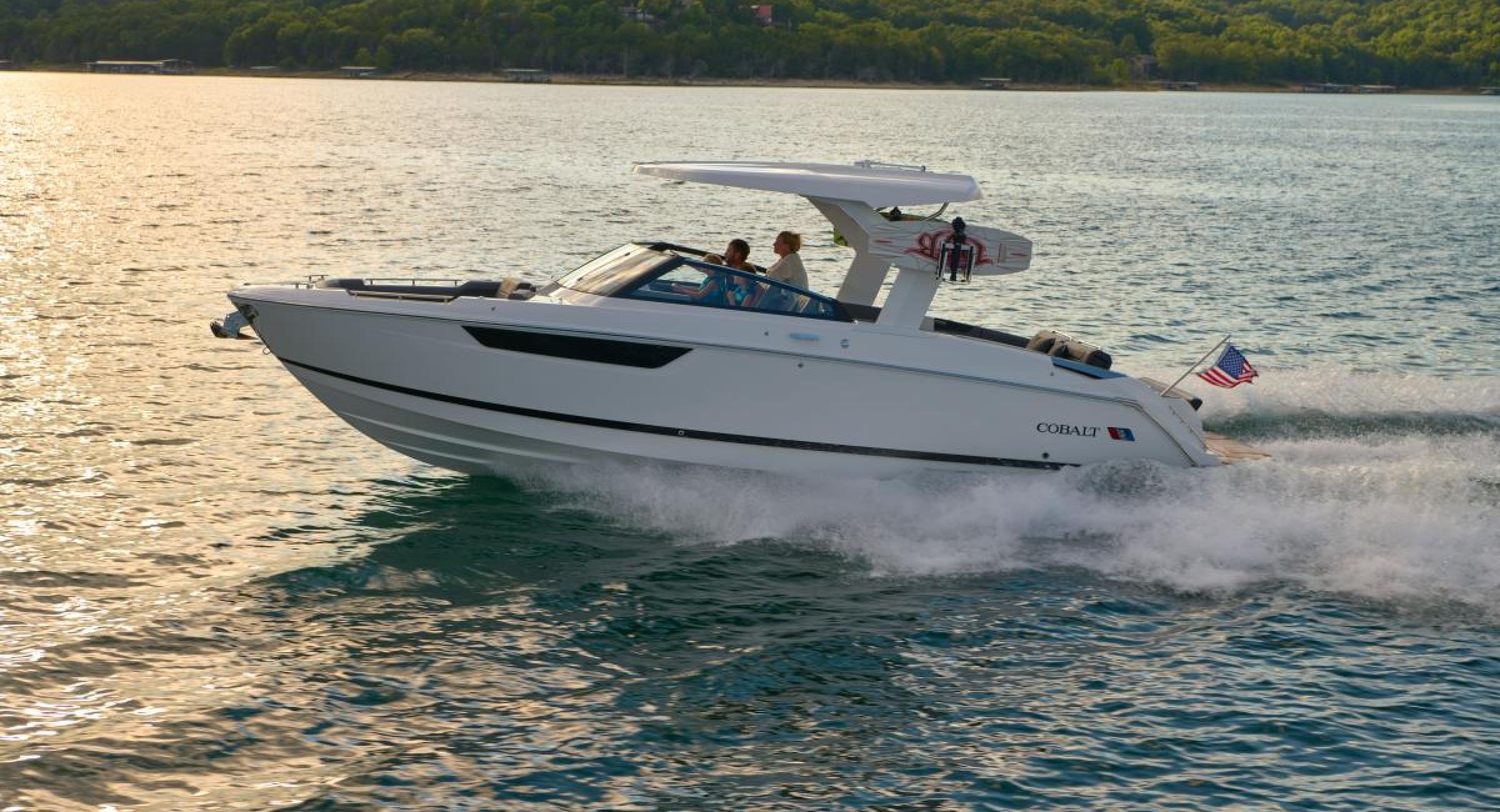 Cobaltboats R31