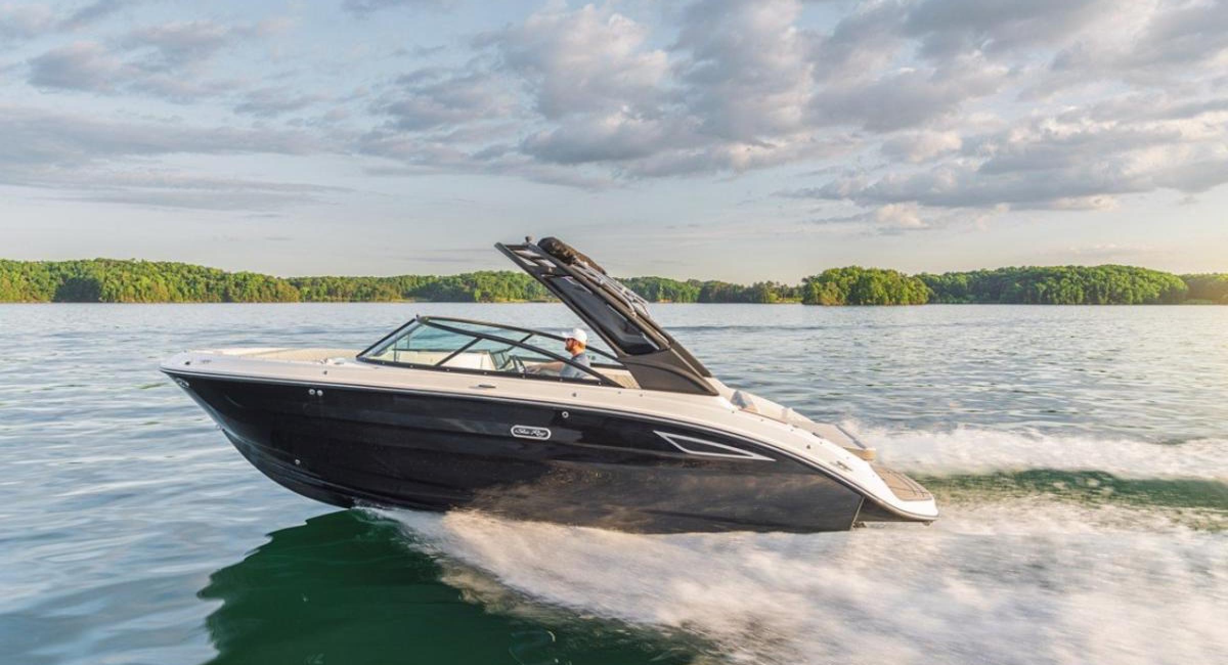 Motorboot Searayboats 250