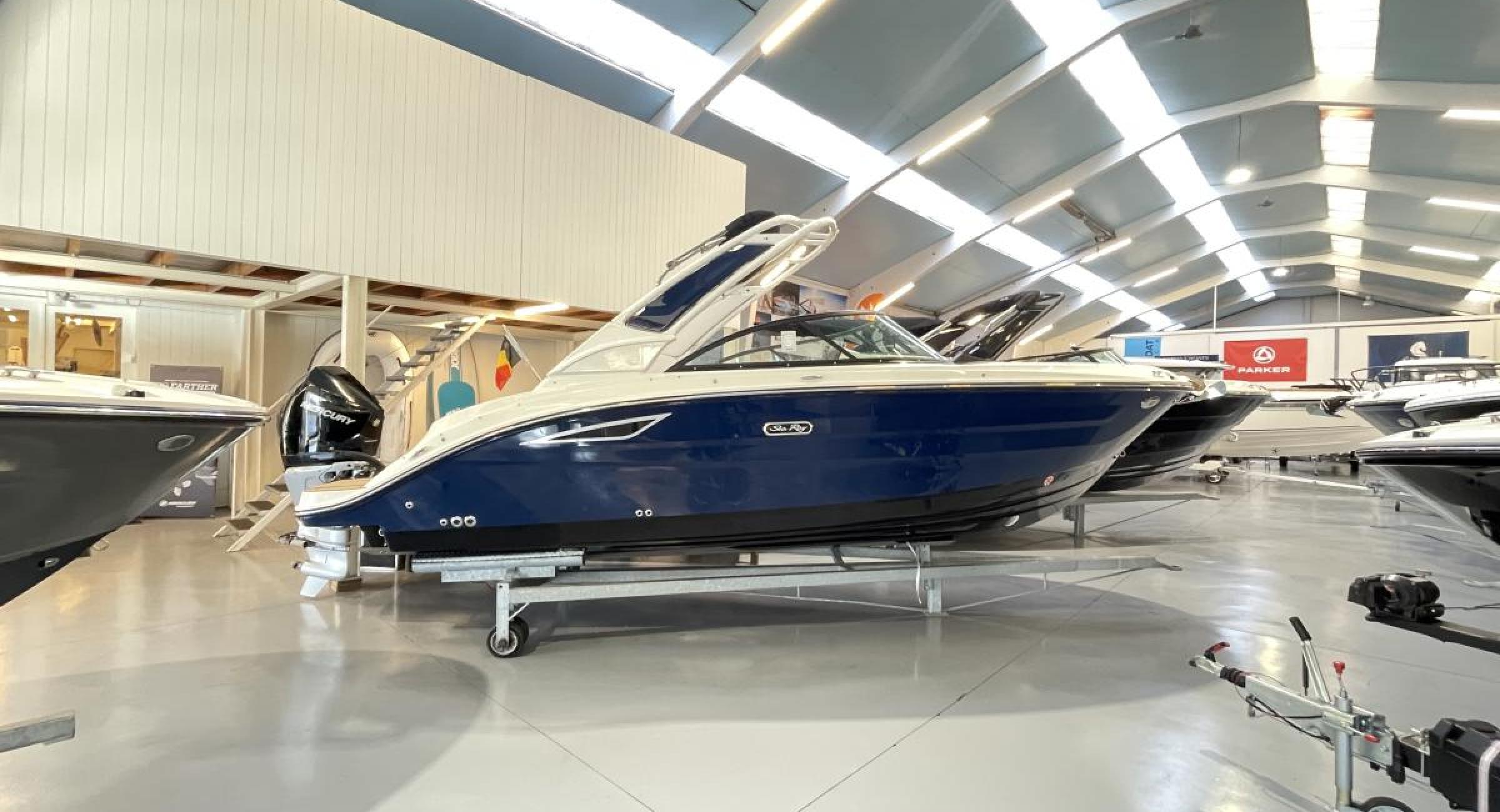 Searay 230 SDX Outboard Belgian Boat Service