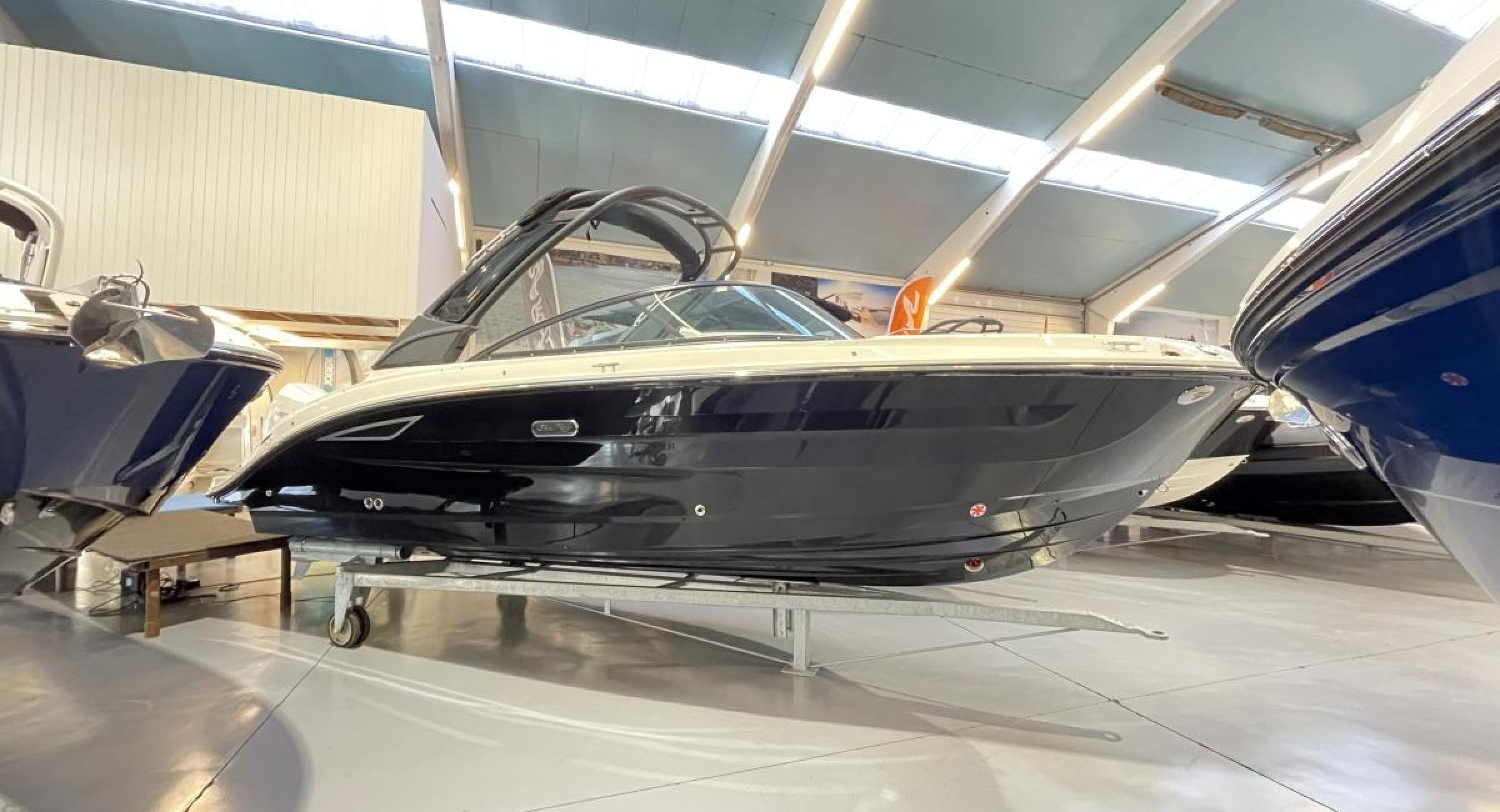 Searay 250 SDX Outboard Belgian Boat Service Nieuwpoort