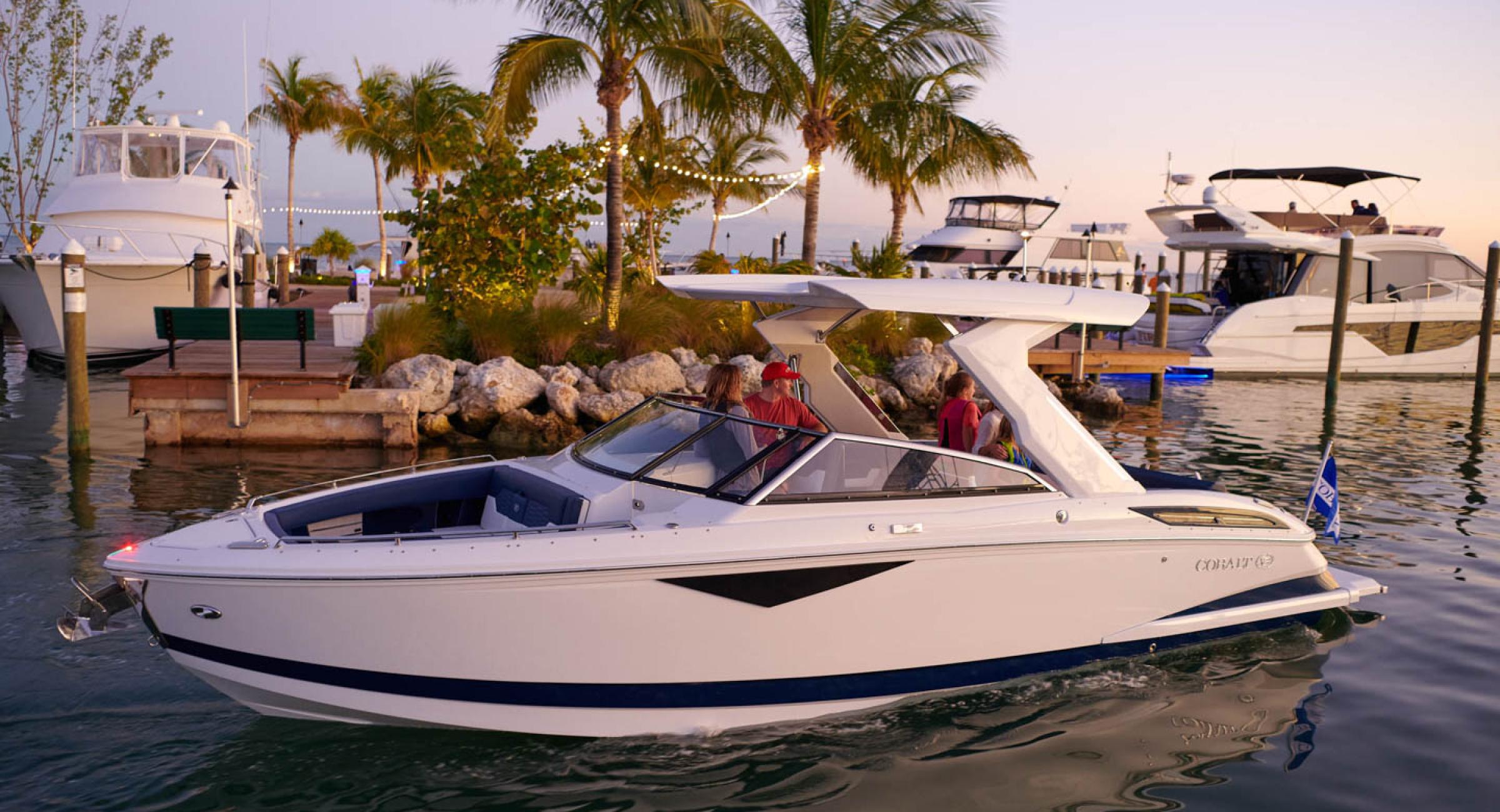 CobaltBoats A29