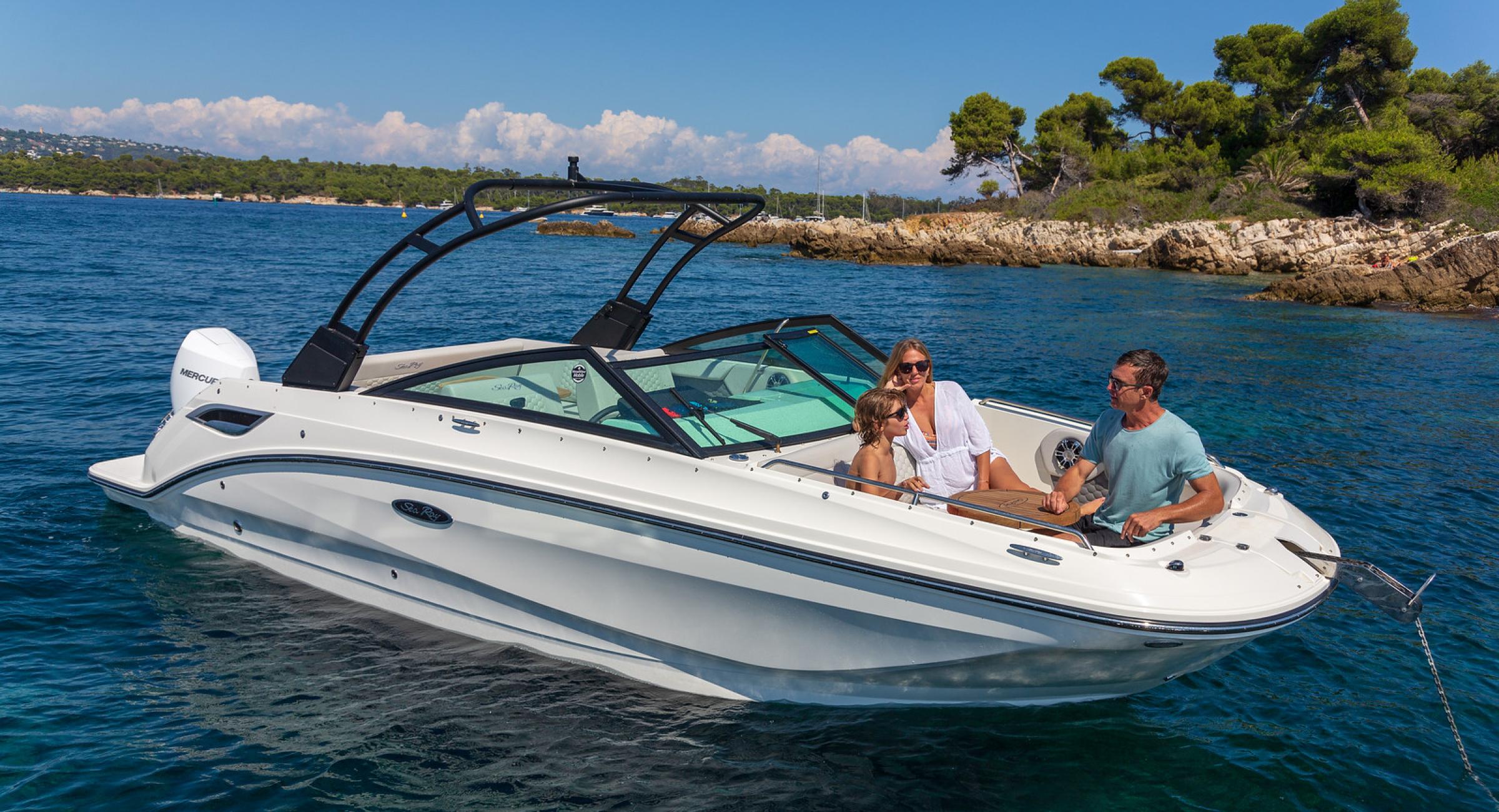 Sea Ray 250 SDX OB