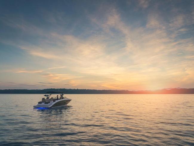 Sea Ray 290 SDX IB