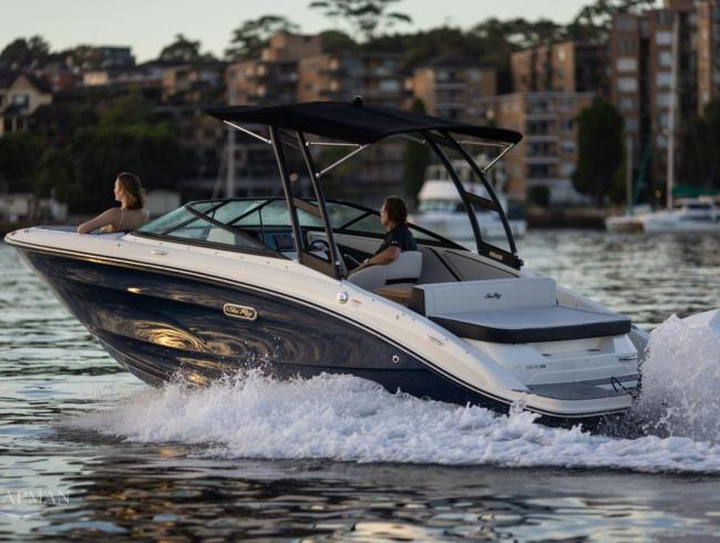 210 SPX  Searay outboard motorboot sportboot Belgian Boat Service