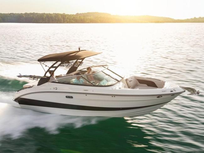 Searay sportboot motorboot