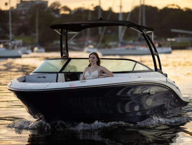 210 SPX  Searay outboard motorboot sportboot Belgian Boat Service