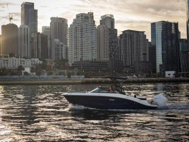 210 SPX  Searay outboard motorboot sportboot Belgian Boat Service