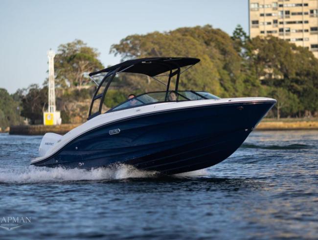 210 SPX  Searay outboard motorboot sportboot Belgian Boat Service
