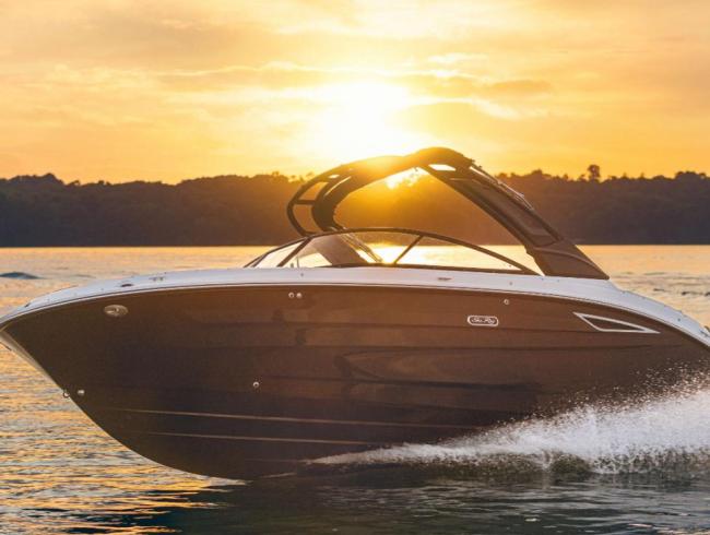 Motorboot Searayboats 250