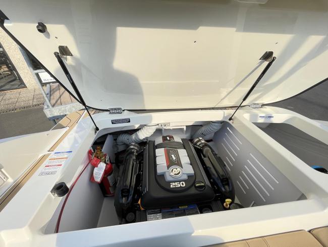 Searay 210 SPX Searayboats motorboot sportboot Belgian Boat Service Nieuwpoort