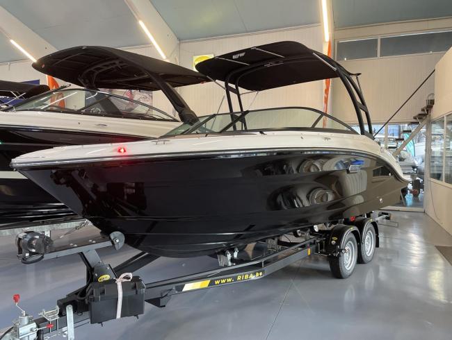 Searay 210 SPX Outboard Belgian Boat Service Nieuwpoort
