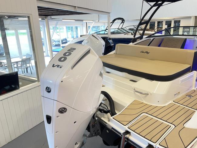 Searay 210 SPX Outboard Belgian Boat Service Nieuwpoort