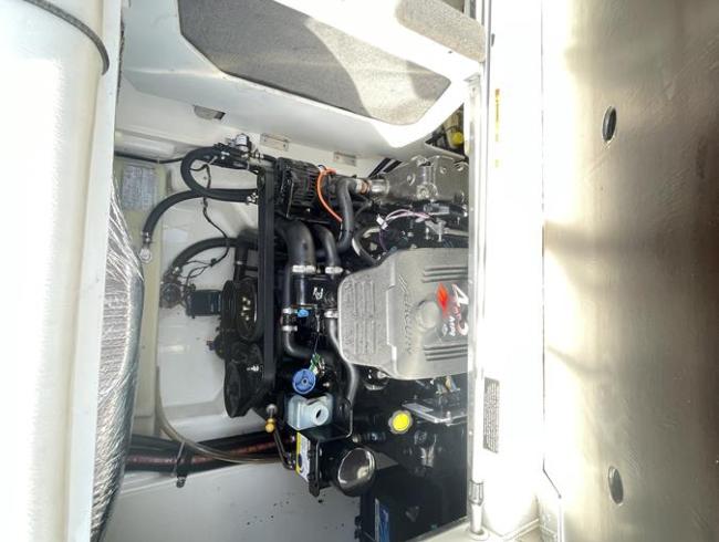 Searay 220 Sunsport Belgian Boat Service Nieuwpoort