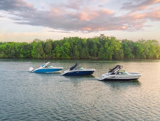 Searay 230 SDX Belgian Boat Service Nieuwpoort