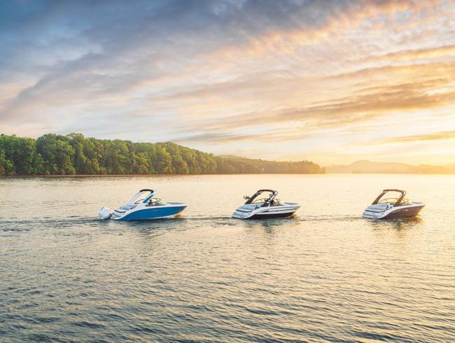 Searay 230 SDX Belgian Boat Service Nieuwpoort