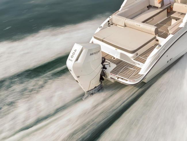 Searay SDX270 OB Belgian Boat Service Nieuwpoort