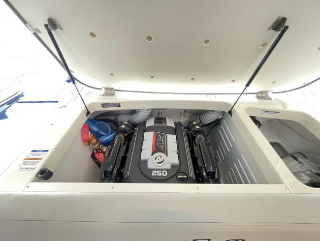 Searay 190SPX Belgian Boat Service Nieuwpoort