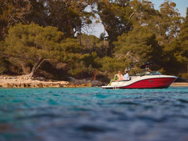 Searay 210 SPX Belgian Boat Service Nieuwpoort