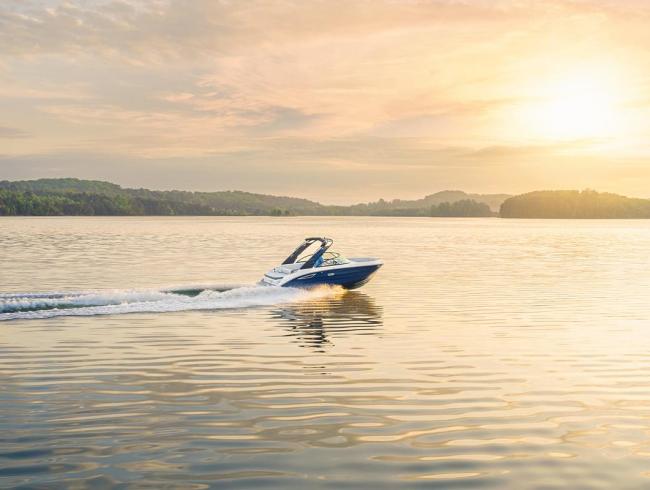 Searay 230 SDX Belgian Boat Service Nieuwpoort