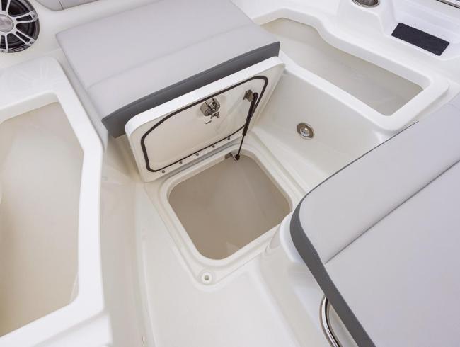 Searay 250 SDX Belgian Boat Service Nieuwpoort