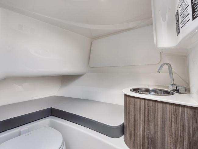 Searay 250 SDX Belgian Boat Service Nieuwpoort