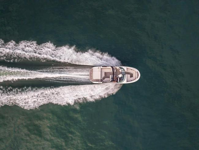 Searay 250 SDX Belgian Boat Service Nieuwpoort