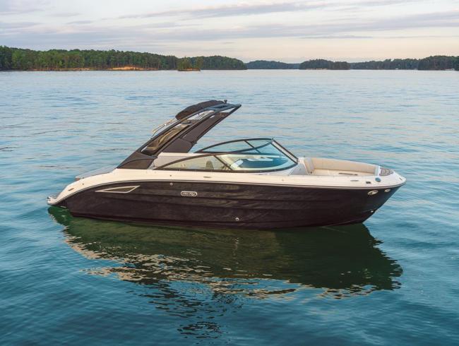 Searay 250 SDX Belgian Boat Service Nieuwpoort