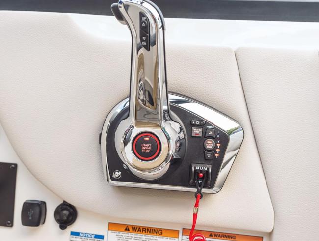 Searay 250 SDX Belgian Boat Service Nieuwpoort