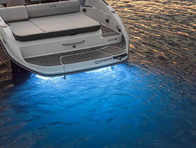 Searay 250 SDX Belgian Boat Service Nieuwpoort