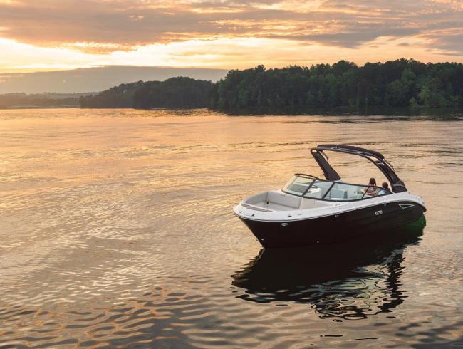 Searay 250 SDX Belgian Boat Service Nieuwpoort