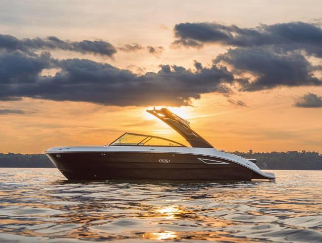 Searay 250 SDX Belgian Boat Service Nieuwpoort