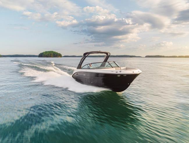 Searay 250 SDX Belgian Boat Service Nieuwpoort