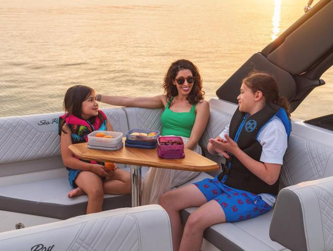 Searay 250 SDX Belgian Boat Service Nieuwpoort