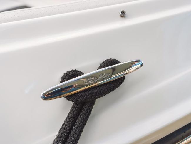 Searay 250 SDX Belgian Boat Service Nieuwpoort