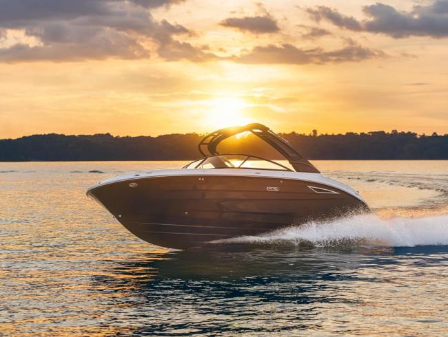 Searay 250 SDX Belgian Boat Service Nieuwpoort