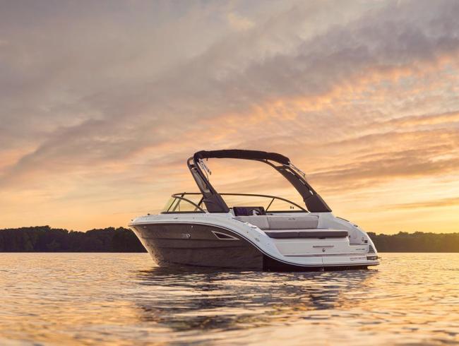 Searay 250 SDX Belgian Boat Service Nieuwpoort