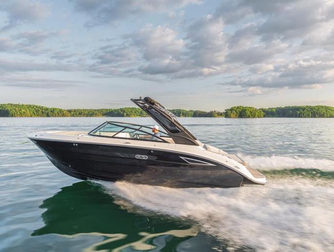 Searay 250 SDX Belgian Boat Service Nieuwpoort
