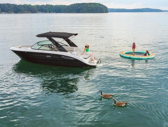 Searay 250 SDX Belgian Boat Service Nieuwpoort