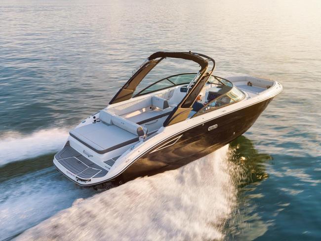 Searay 250 SDX Belgian Boat Service Nieuwpoort