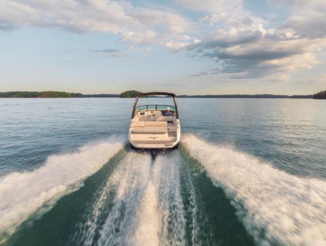 Searay 250 SDX Belgian Boat Service Nieuwpoort