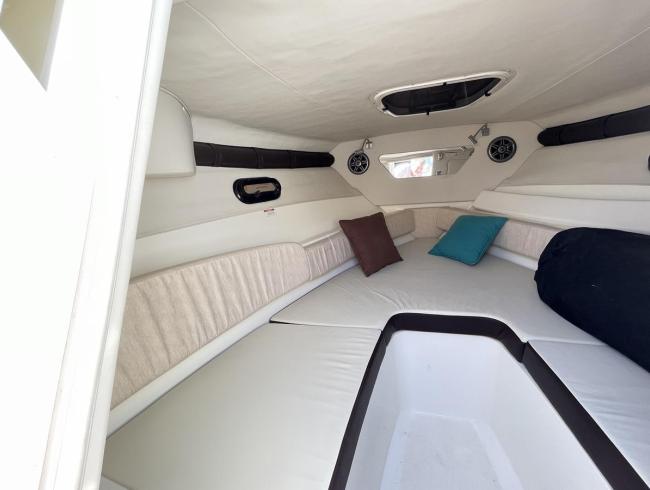 Searay 250 Sunsport Belgian Boat Service Nieuwpoort