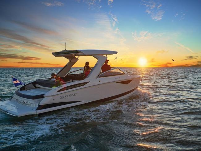 Cobaltboats A29 Belgian Boat Service Nieuwpoort