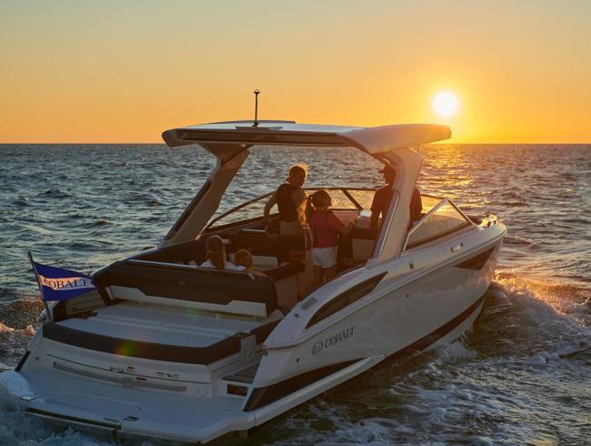 Cobaltboats A29 Belgian Boat Service Nieuwpoort