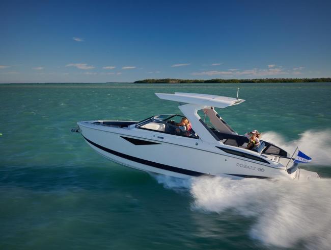 Cobaltboats A29 Belgian Boat Service Nieuwpoort