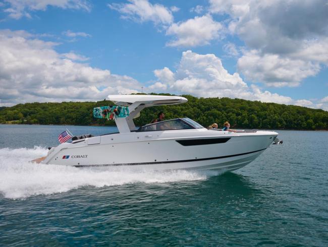 Cobaltboats R31 Belgian Boat Service Nieuwpoort