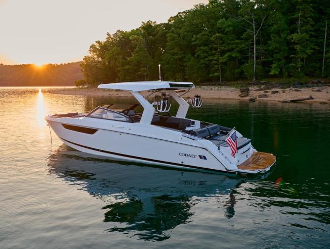 Cobaltboats R31 Belgian Boat Service Nieuwpoort