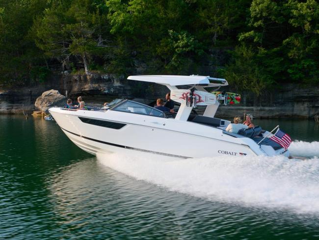 COBALT R31 | Belgian Boat Service